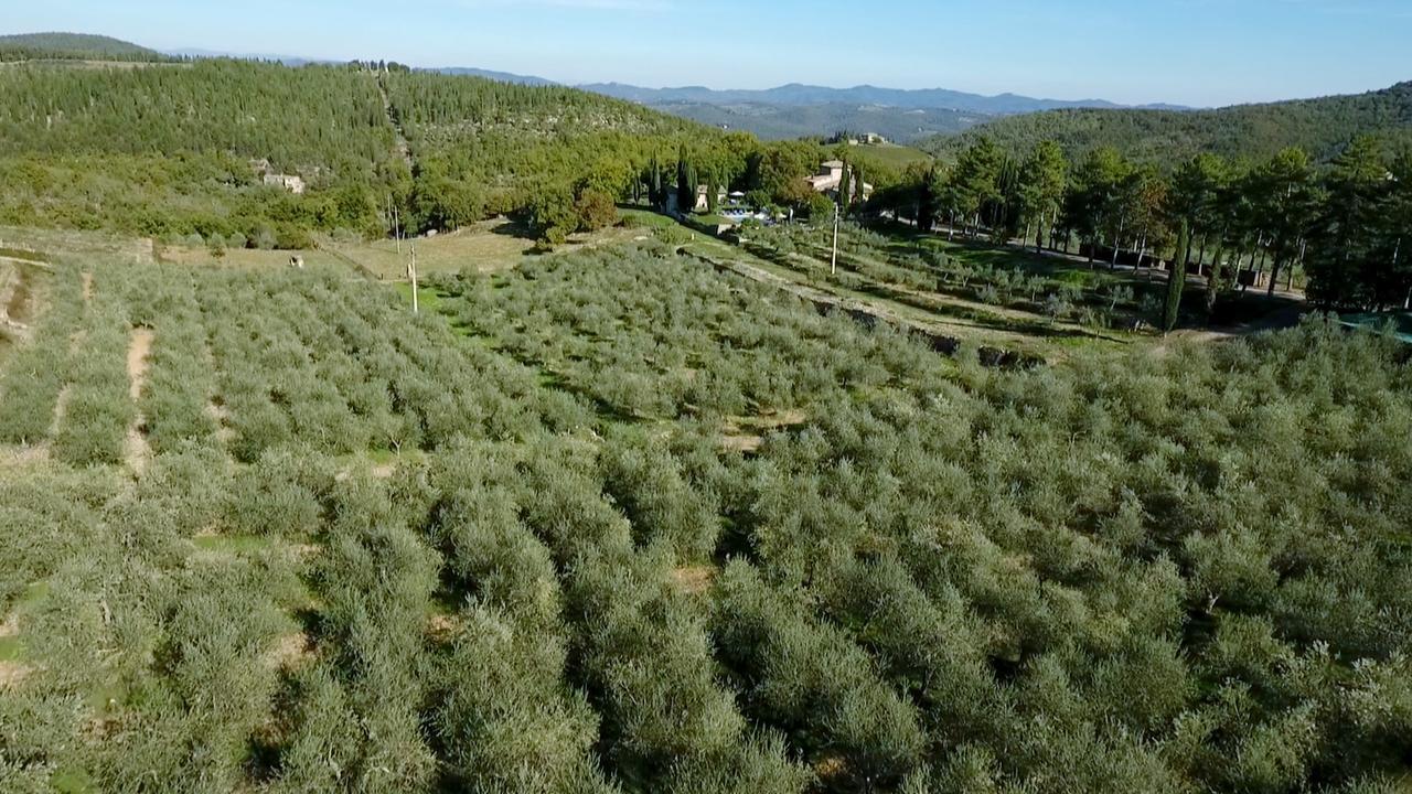 Podere Sagna Кастелина ин Шианти Экстерьер фото